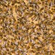Illustration for article titled Discovery Channel's been looping a video about honey for more than 26 hours and it shows no signs of stopping